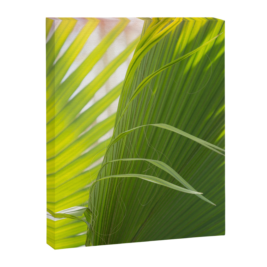 Summer, Forever Canvas Print Gallery Image 6