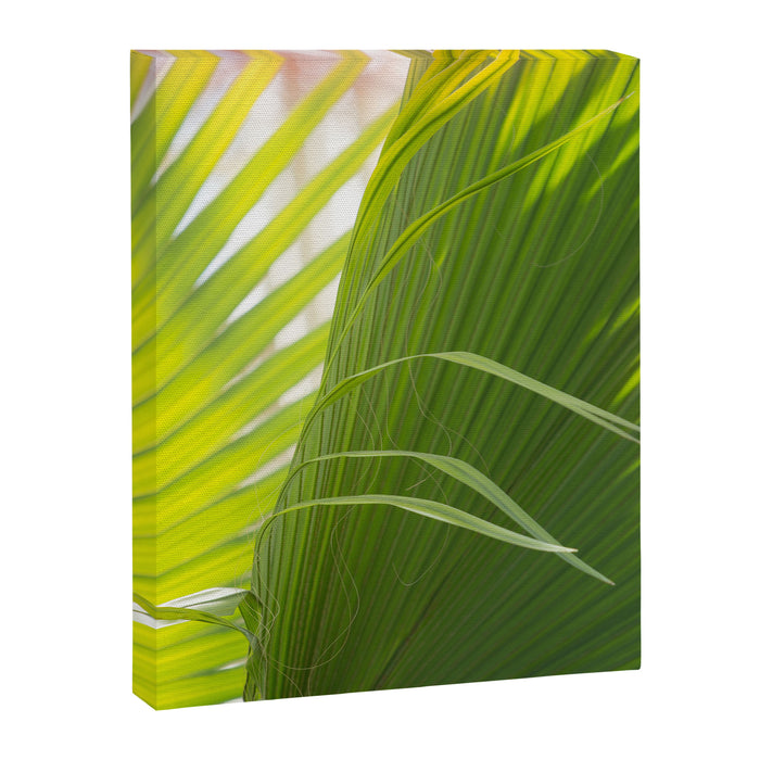 Summer, Forever Canvas Print Gallery Image 1