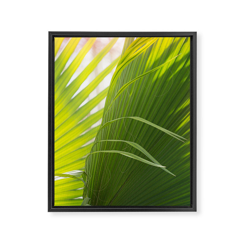Summer, Forever Framed Canvas Print Gallery Image 6