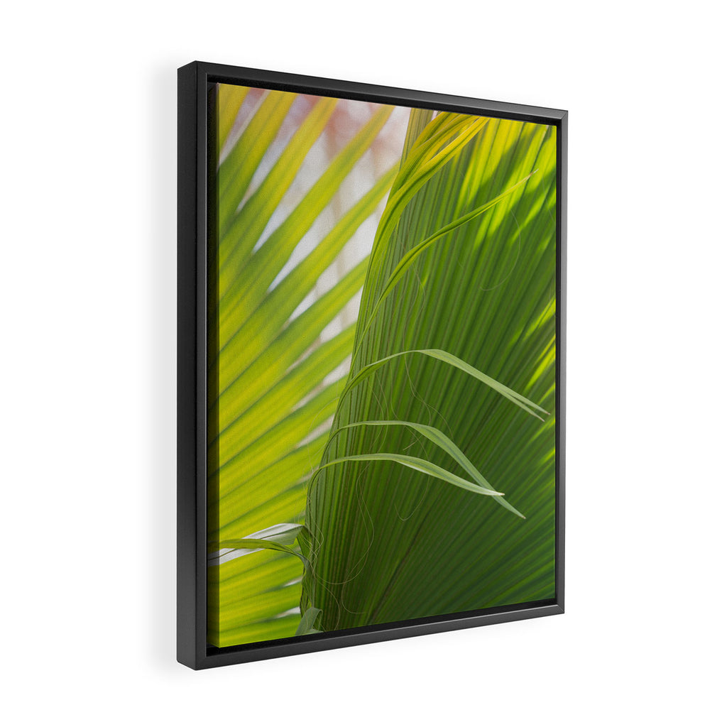 Summer, Forever Framed Canvas Print Gallery Image 2