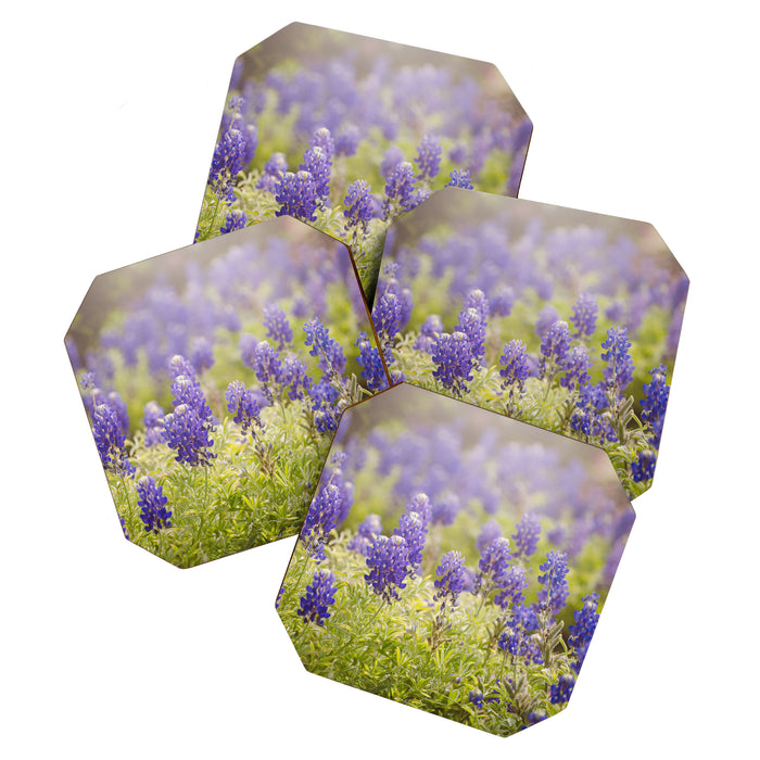 Texas Bluebonnets Coaster Gallery Image 1