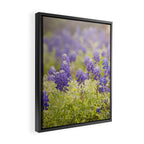 Texas Bluebonnets Framed Canvas Print Gallery Image 2