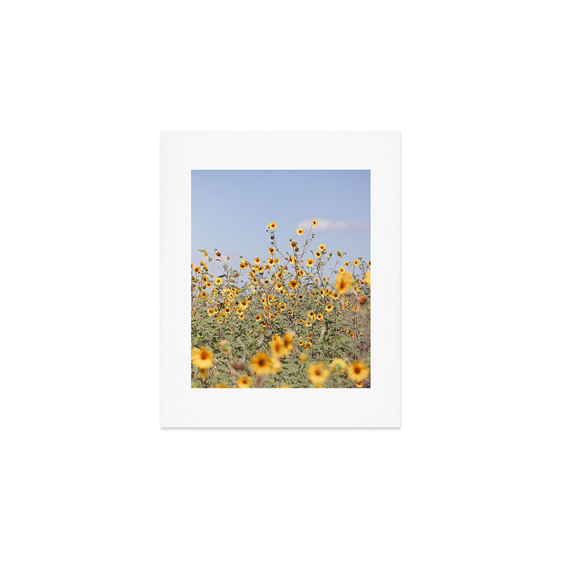 Texas Sunflower Field Art Print Gallery Image 1