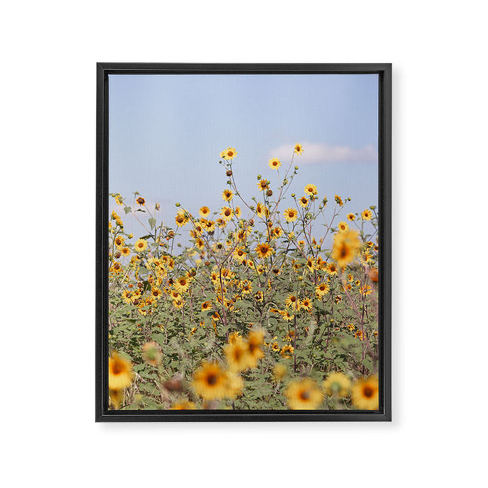Texas Sunflower Field Framed Canvas Print Gallery Image 1