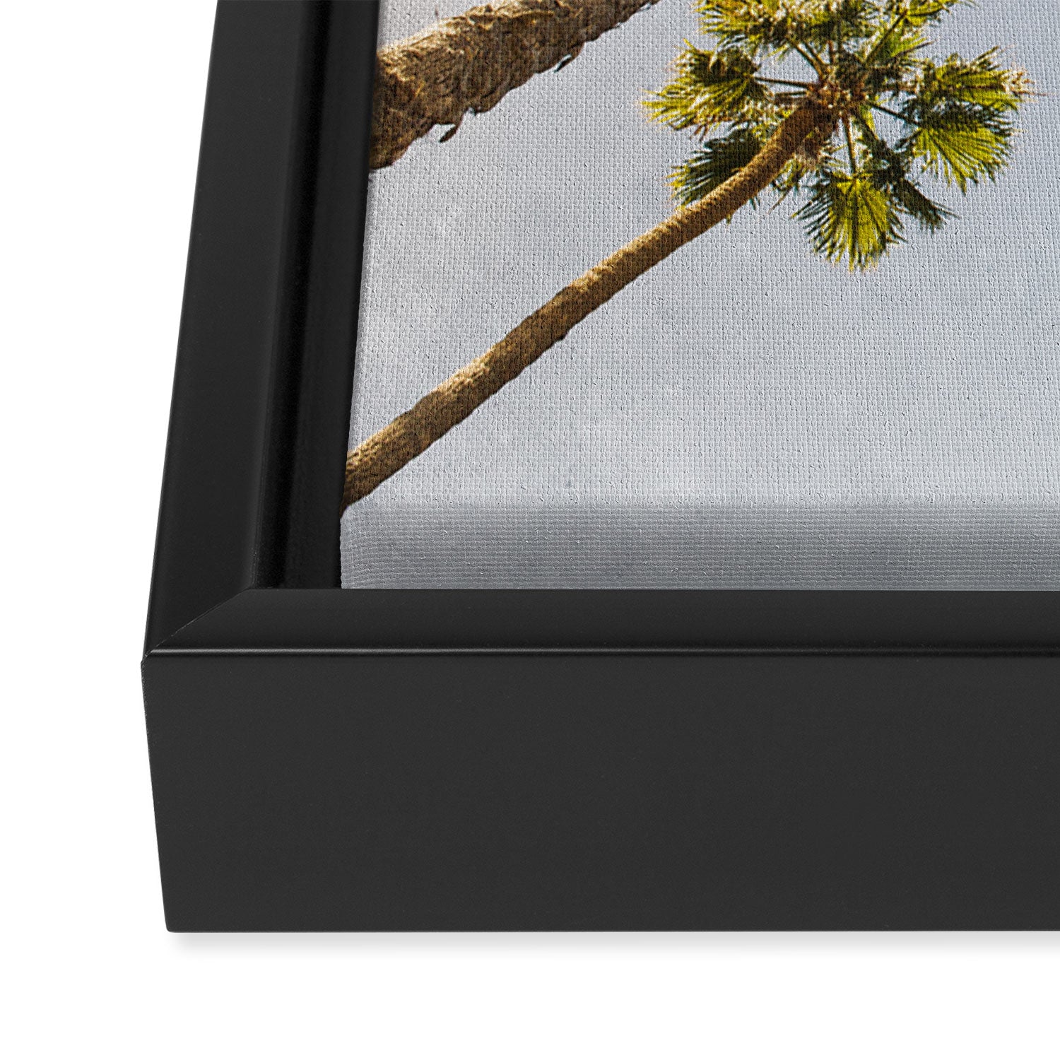 That Cali Life Framed Canvas Print Gallery Image 3