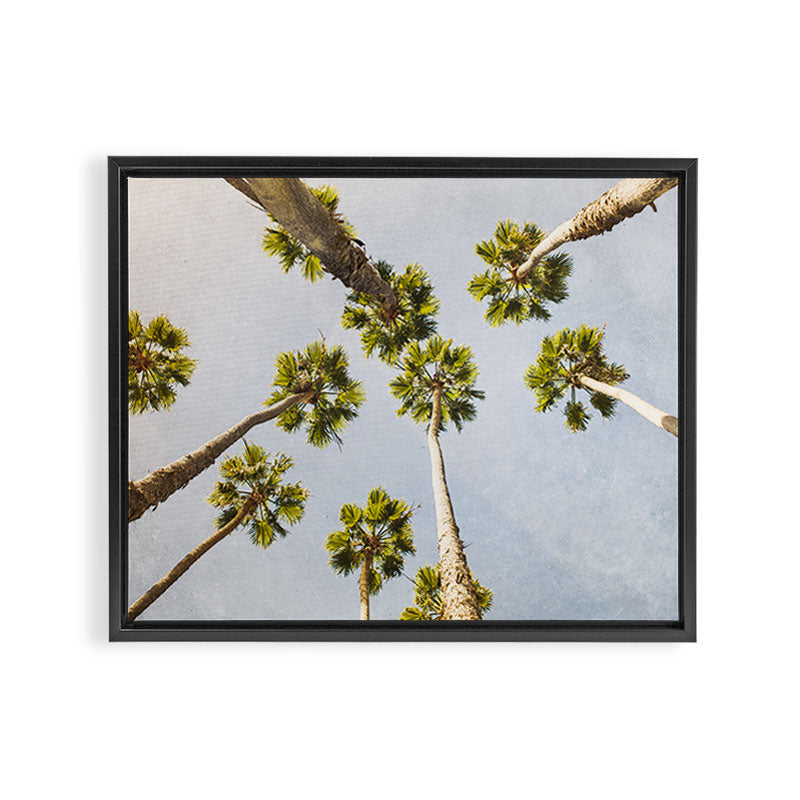 That Cali Life Framed Canvas Print Gallery Image 12