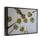 That Cali Life Framed Canvas Print Gallery Image 2