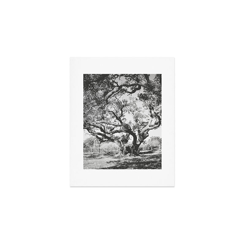 The Big Tree Rockport Texas Art Print Gallery Image 1