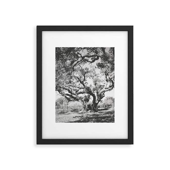 The Big Tree Rockport Texas Framed Art Print Gallery Image 1