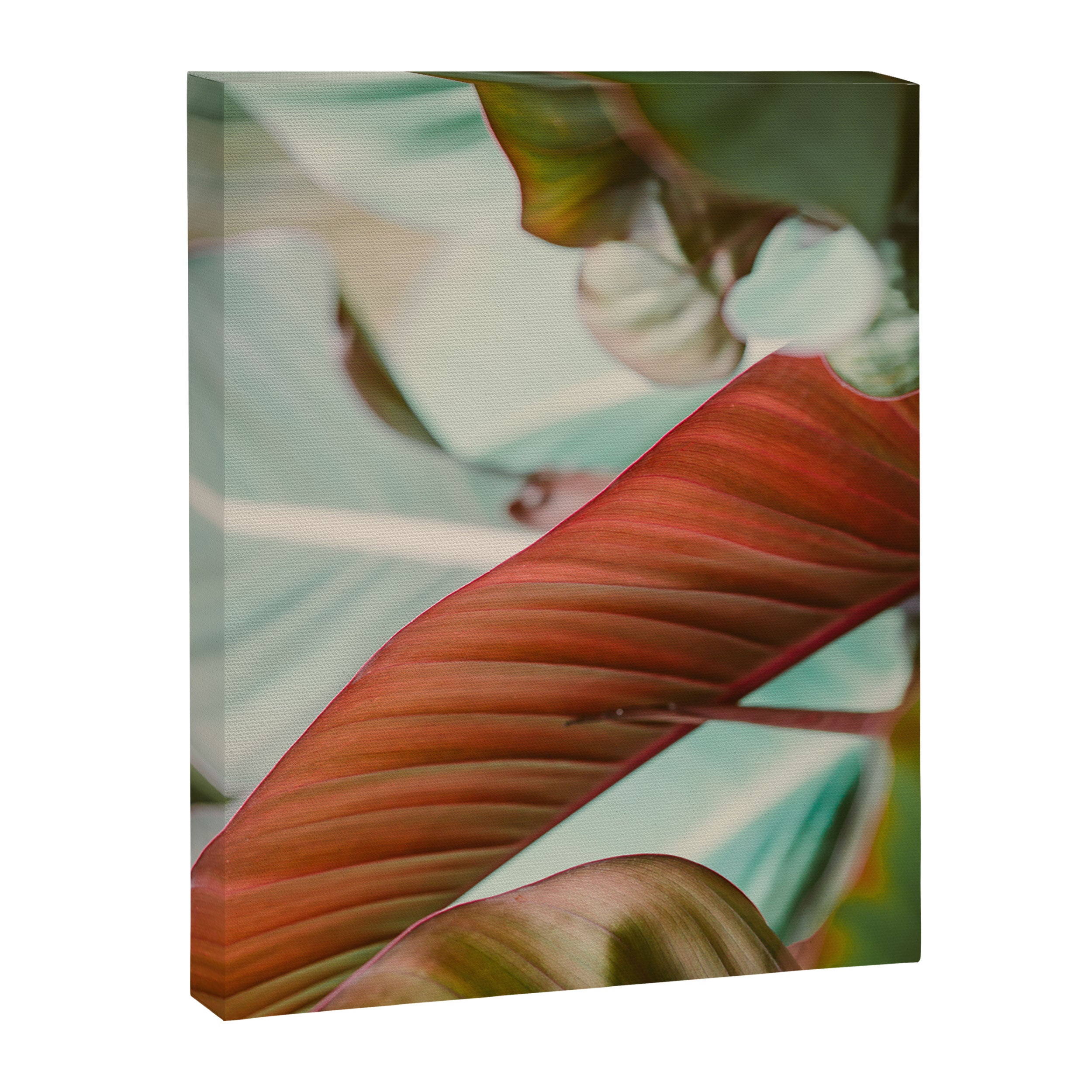 Tropical Hues Canvas Print Gallery Image 6