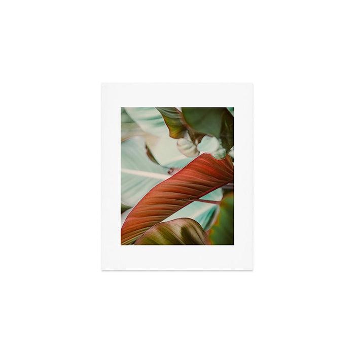 Tropical Hues Art Print Gallery Image 1