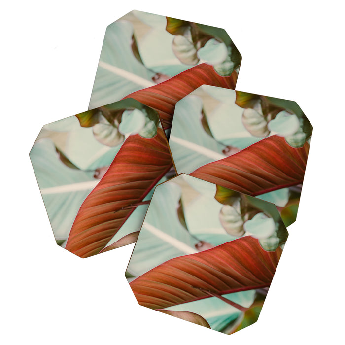 Tropical Hues Coaster Gallery Image 1