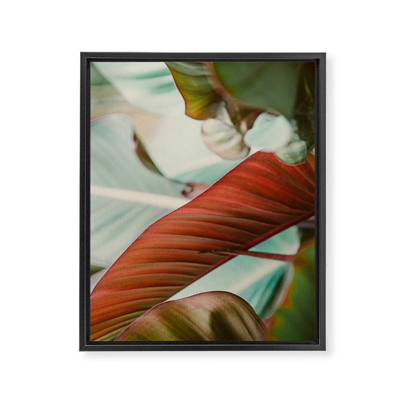 Tropical Hues Framed Canvas Print Gallery Image 6