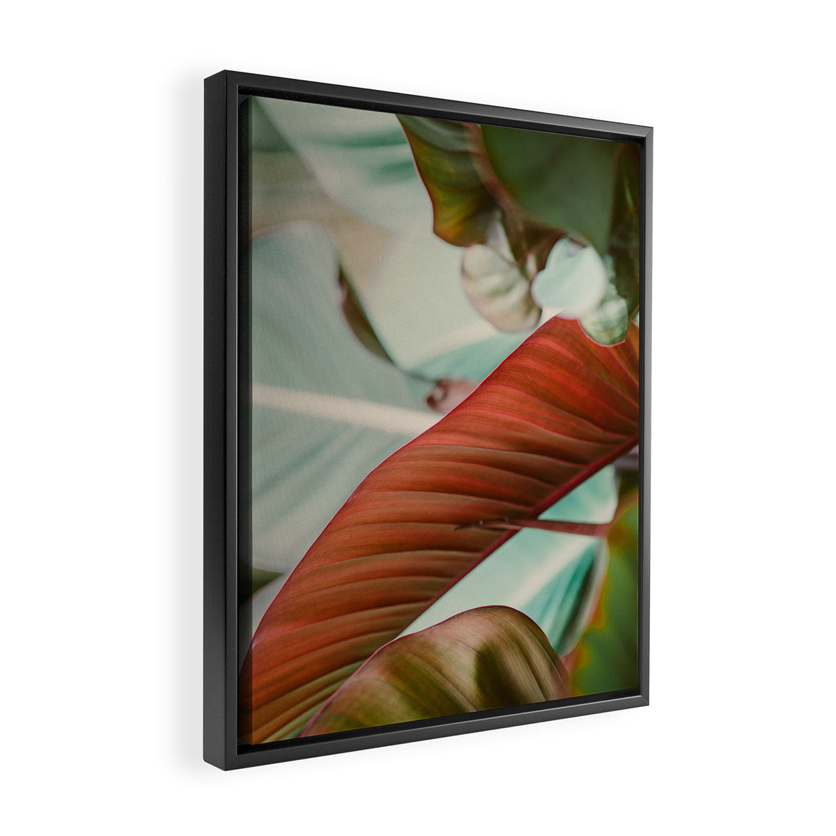 Tropical Hues Framed Canvas Print Gallery Image 2