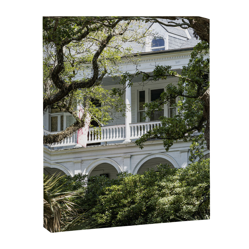 Under the Oaks x Charleston South Carolina Photography Canvas Print Gallery Image 6