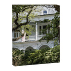 Under the Oaks x Charleston South Carolina Photography Canvas Print Gallery Image 6