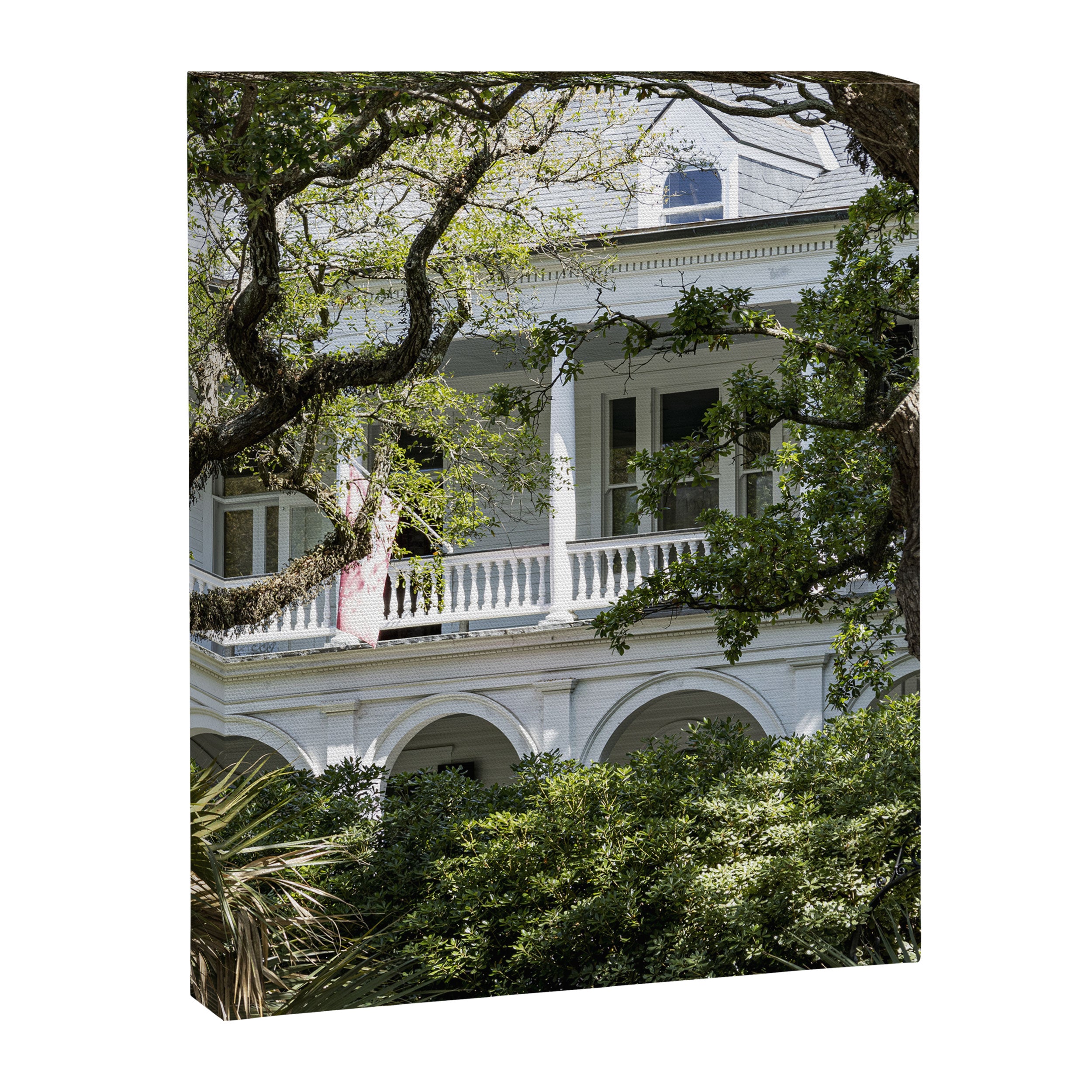 Under the Oaks x Charleston South Carolina Photography Canvas Print Gallery Image 6