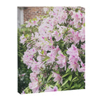 Uptown Azaleas x New Orleans Photography Canvas Print Gallery Image 6