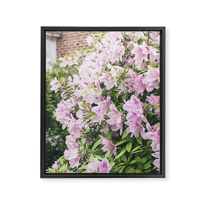 Uptown Azaleas x New Orleans Photography Framed Canvas Print Gallery Image 1