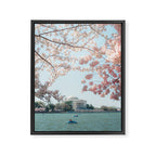 Washington DC Cherry Blossoms II Framed Canvas Print Gallery Image 6