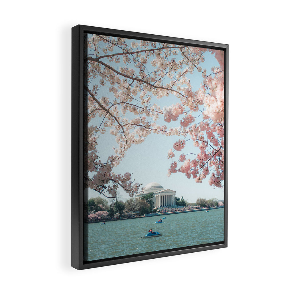 Washington DC Cherry Blossoms II Framed Canvas Print Gallery Image 2