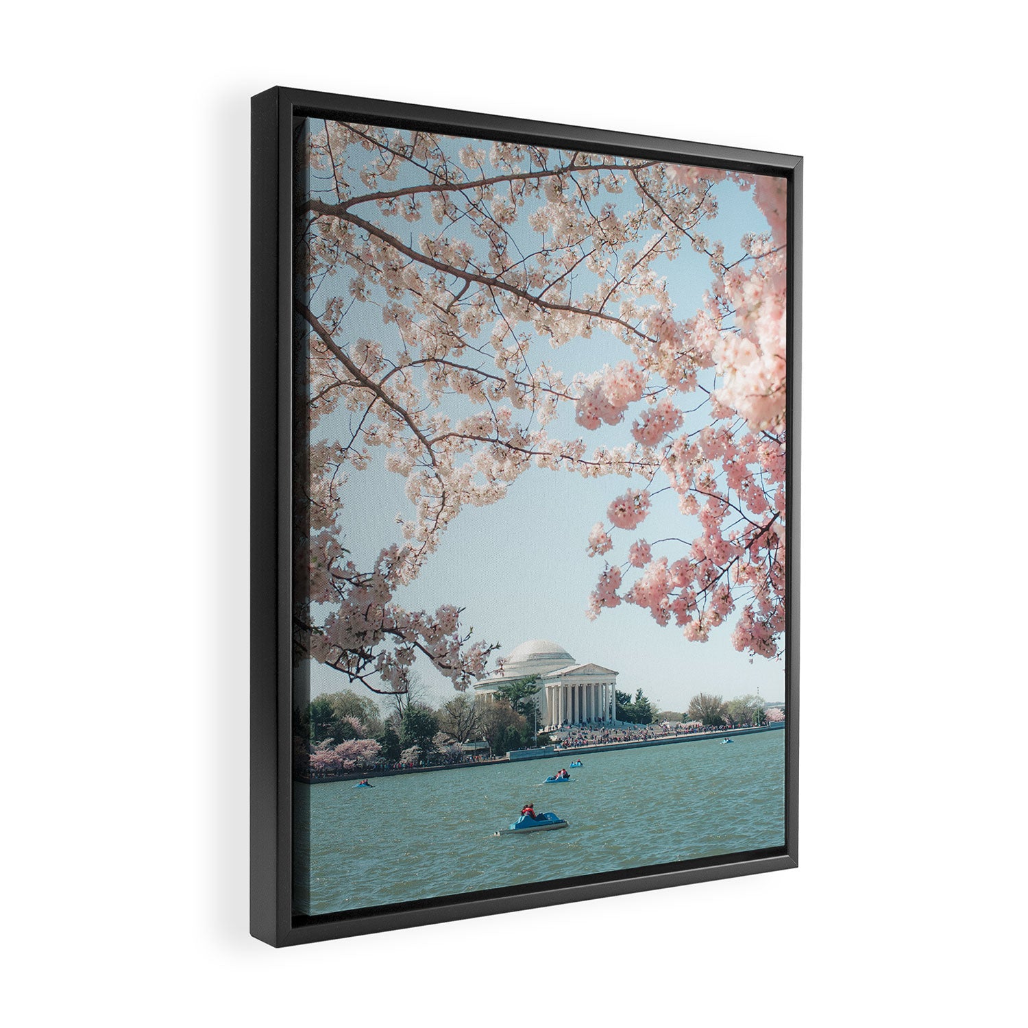 Washington DC Cherry Blossoms II Framed Canvas Print Gallery Image 2