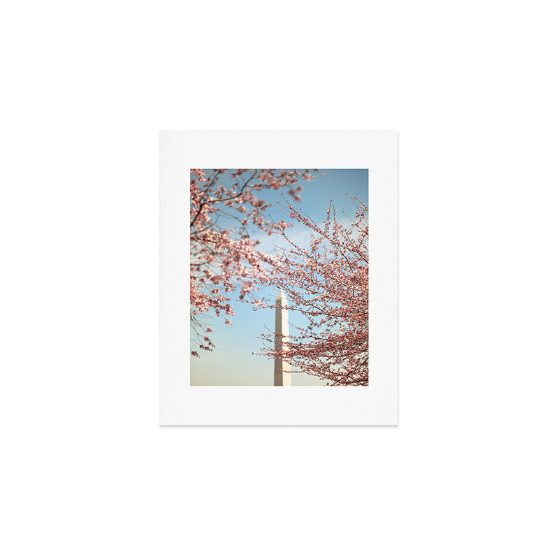 Washington DC Cherry Blossoms Art Print Gallery Image 1
