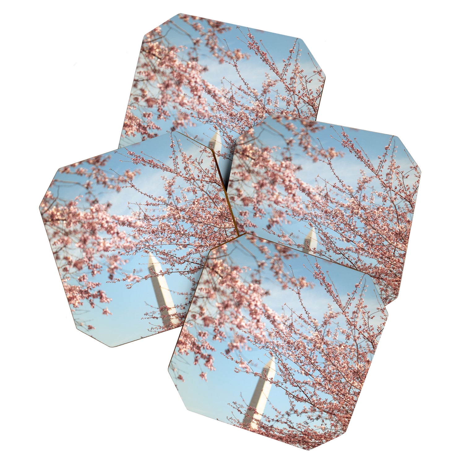 Washington DC Cherry Blossoms Coaster Gallery Image 1