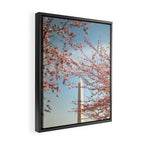 Washington DC Cherry Blossoms Framed Canvas Print Gallery Image 2