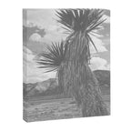 West Texas Black and White Landscape x Glass Mountains Canvas Print Gallery Image 6