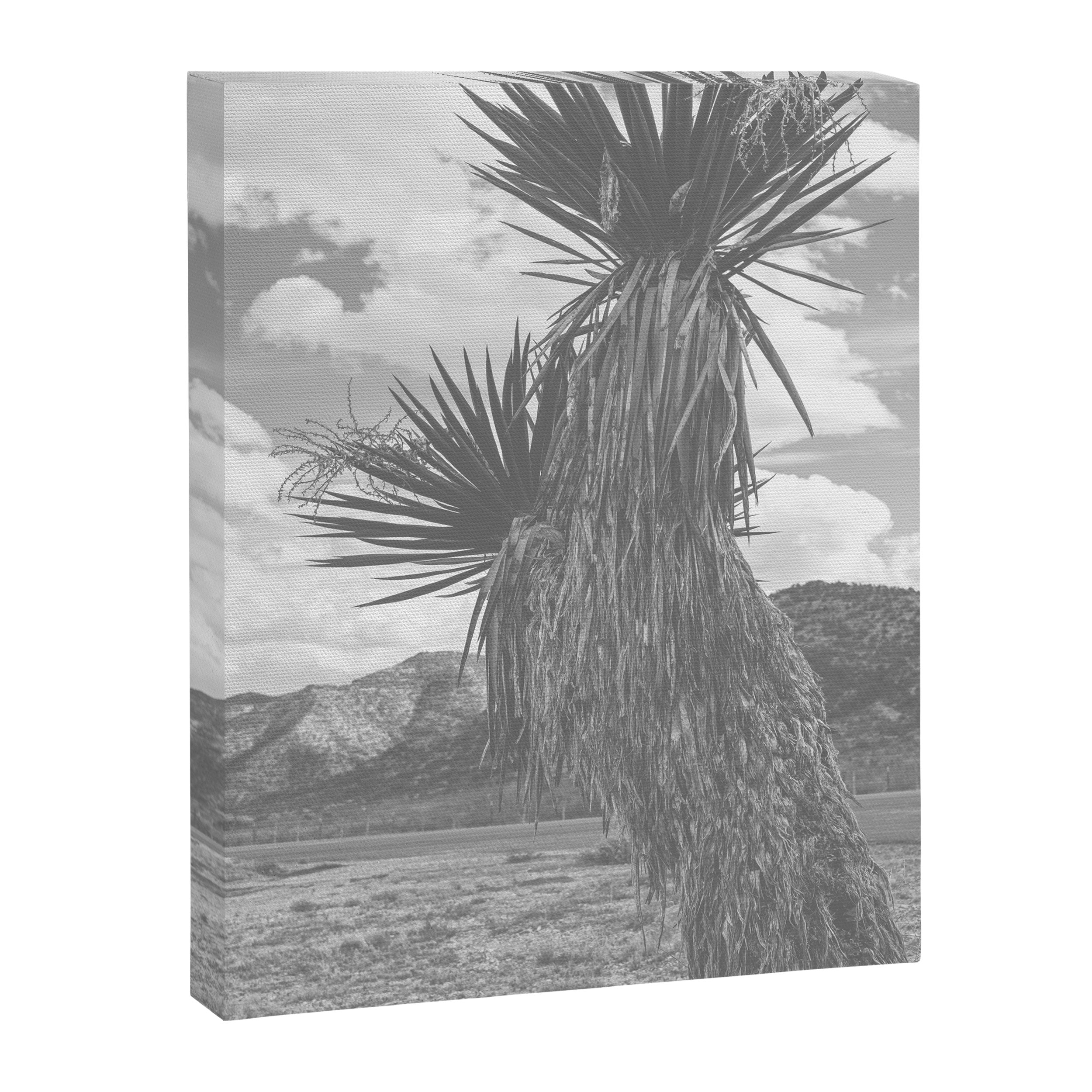 West Texas Black and White Landscape x Glass Mountains Canvas Print Gallery Image 6