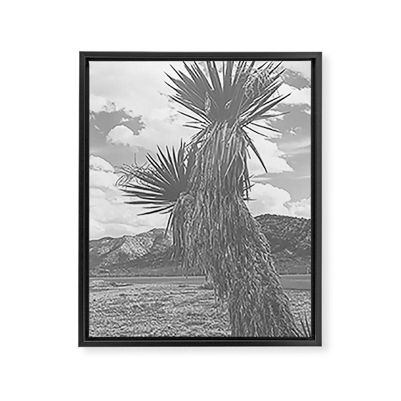 West Texas Black and White Landscape x Glass Mountains Framed Canvas Print Gallery Image 6