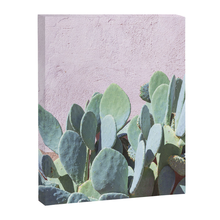 West Texas Cactus Photography Canvas Print Gallery Image 1