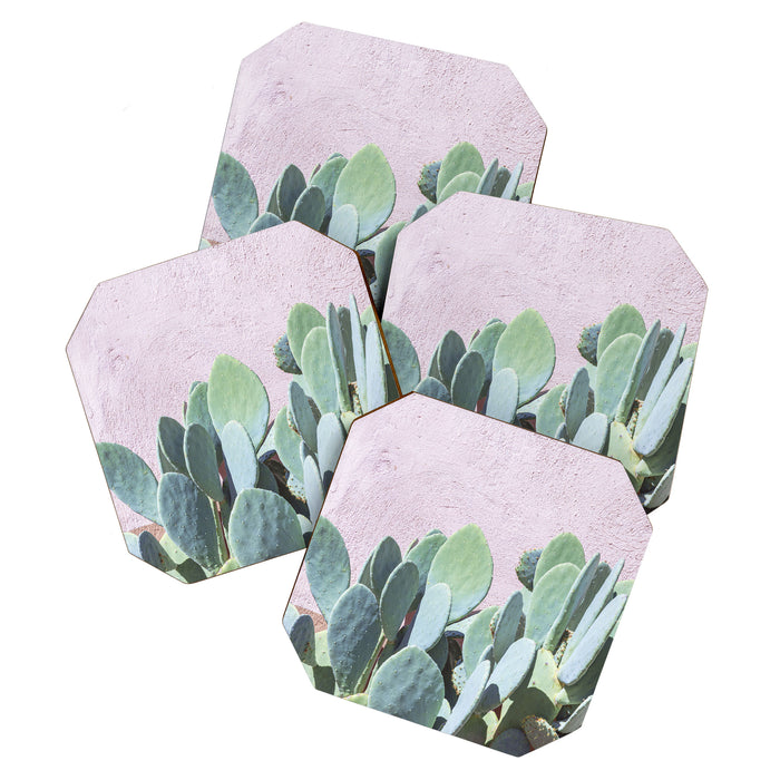 West Texas Cactus Photography Coaster Gallery Image 1