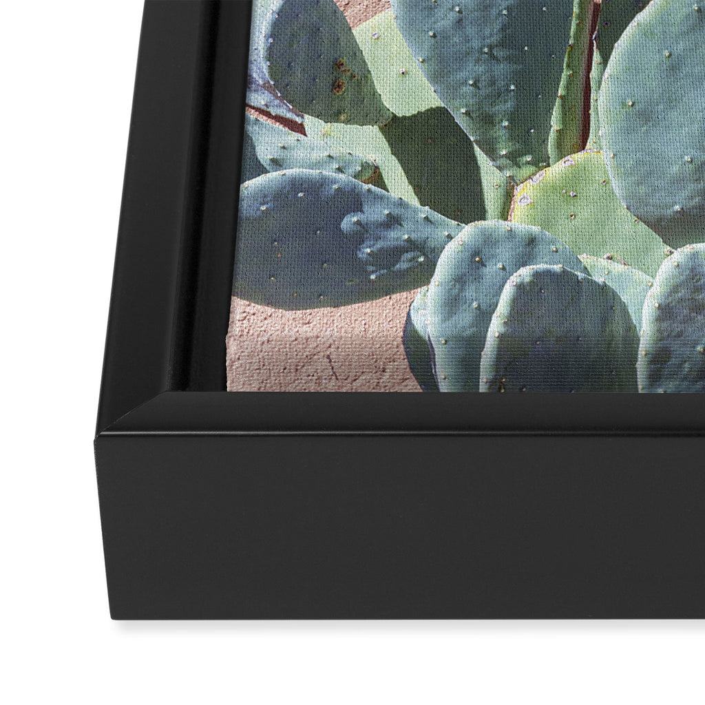 West Texas Cactus Photography Framed Canvas Print Gallery Image 3
