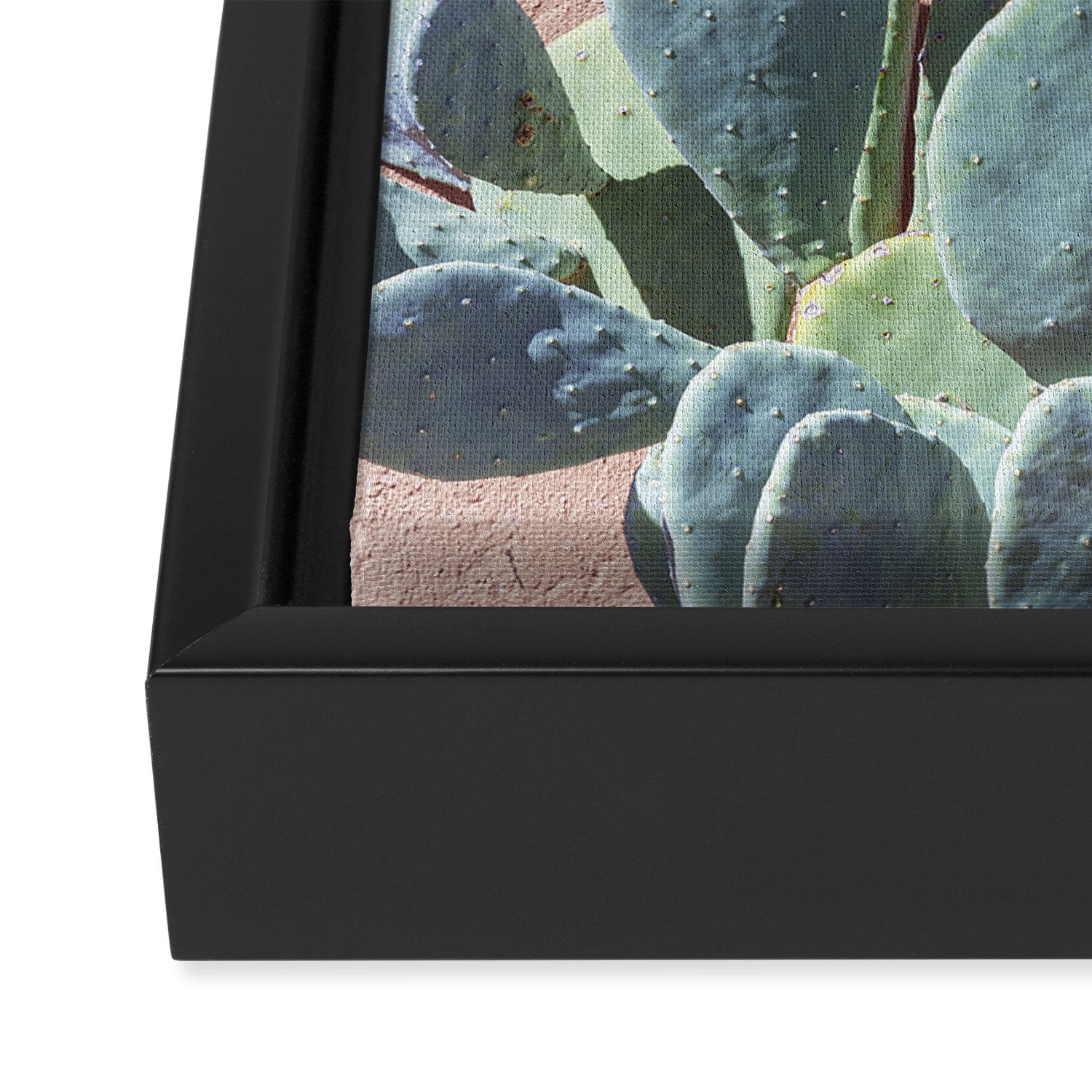 West Texas Cactus Photography Framed Canvas Print Gallery Image 3