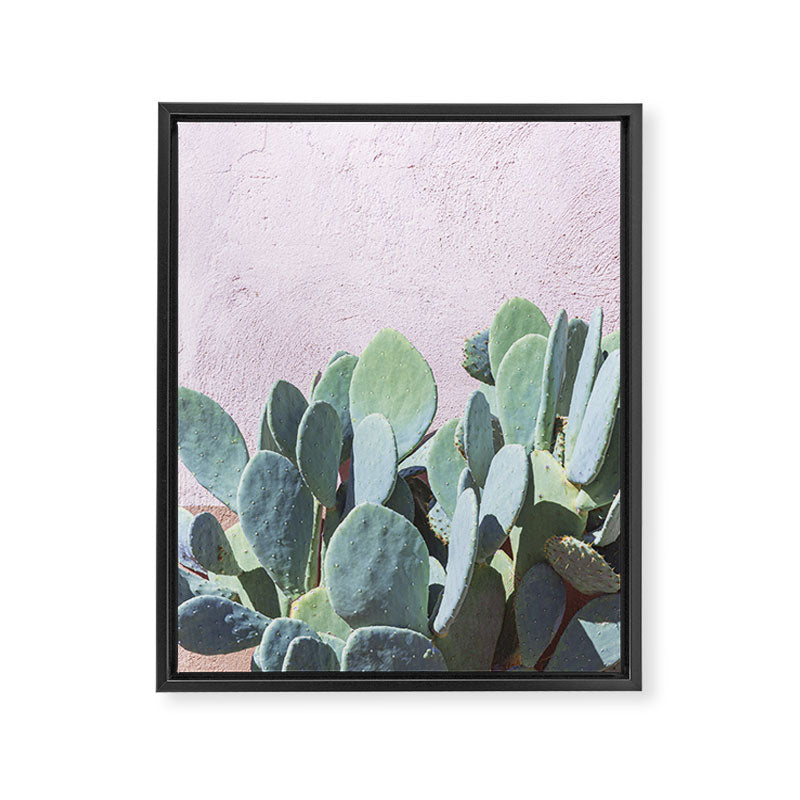 West Texas Cactus Photography Framed Canvas Print Gallery Image 6