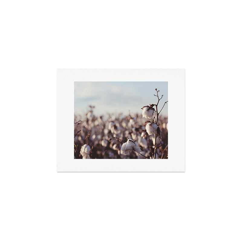 West Texas Cotton Field Art Print Gallery Image 1