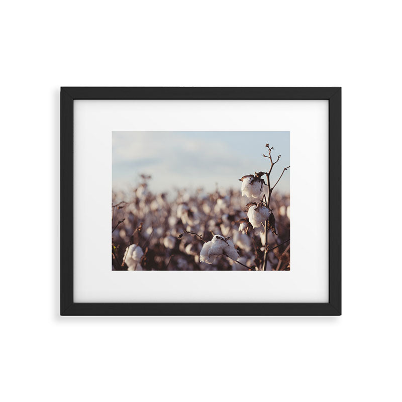 West Texas Cotton Field Framed Art Print Gallery Image 5