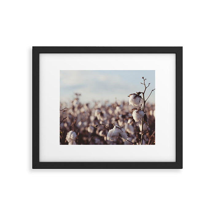 West Texas Cotton Field Framed Art Print Gallery Image 1