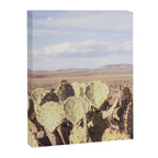 West Texas Landscape x Marathon Prickly Pear Cactus Photography Canvas Print Gallery Image 6