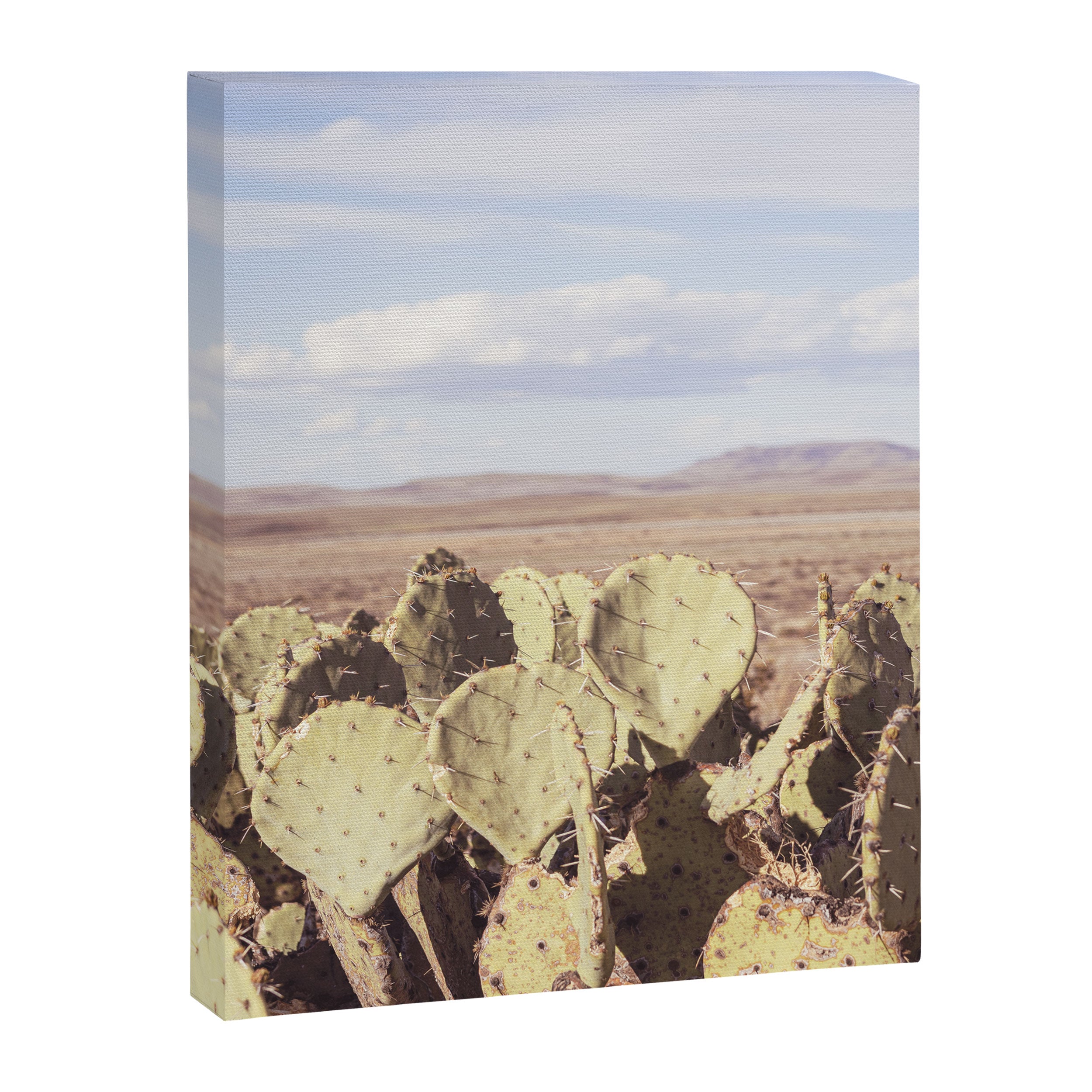West Texas Landscape x Marathon Prickly Pear Cactus Photography Canvas Print Gallery Image 6