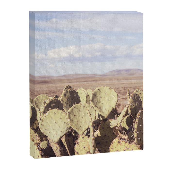 West Texas Landscape x Marathon Prickly Pear Cactus Photography Canvas Print Gallery Image 1