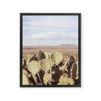 West Texas Landscape x Marathon Prickly Pear Cactus Photography Framed Canvas Print Gallery Image 6