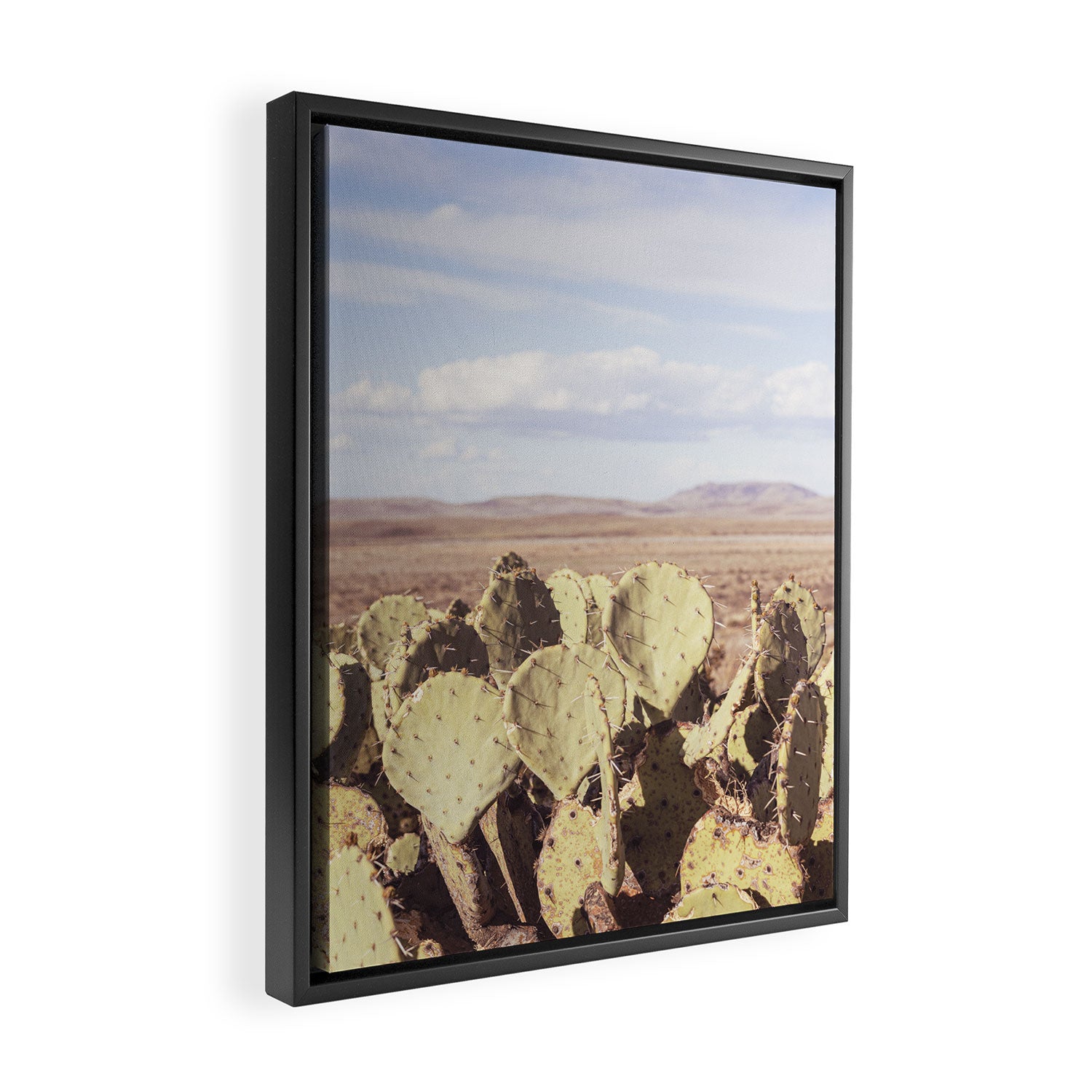 West Texas Landscape x Marathon Prickly Pear Cactus Photography Framed Canvas Print Gallery Image 2