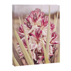 West Texas Landscape x Yucca Bloom Photography Canvas Print Gallery Image 6