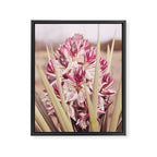 West Texas Landscape x Yucca Bloom Photography Framed Canvas Print Gallery Image 6