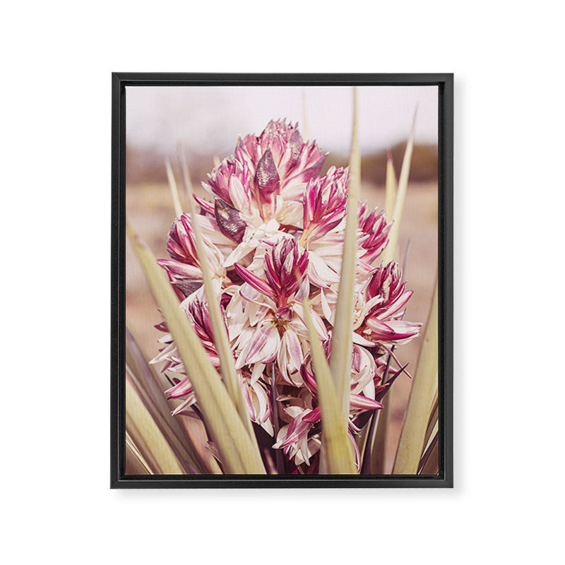 West Texas Landscape x Yucca Bloom Photography Framed Canvas Print Gallery Image 6