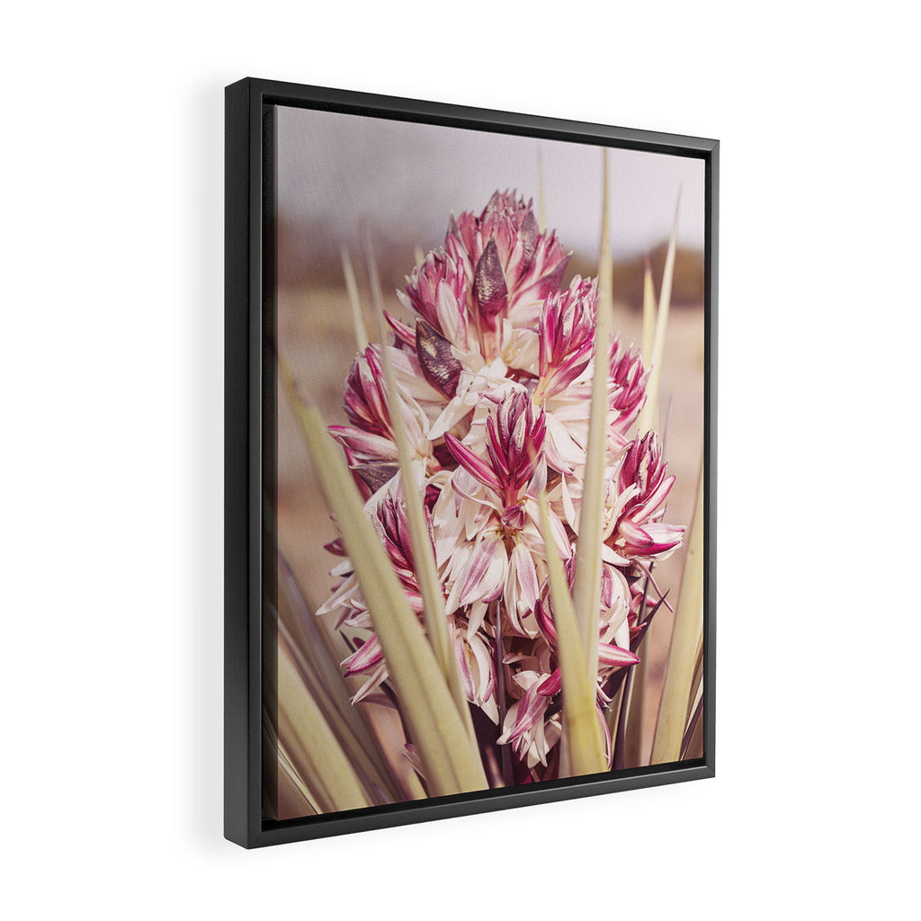 West Texas Landscape x Yucca Bloom Photography Framed Canvas Print Gallery Image 2