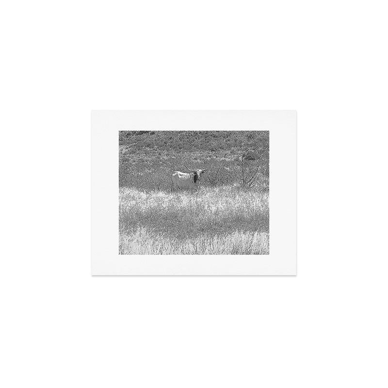 West Texas Longhorn Photography Art Print Gallery Image 1